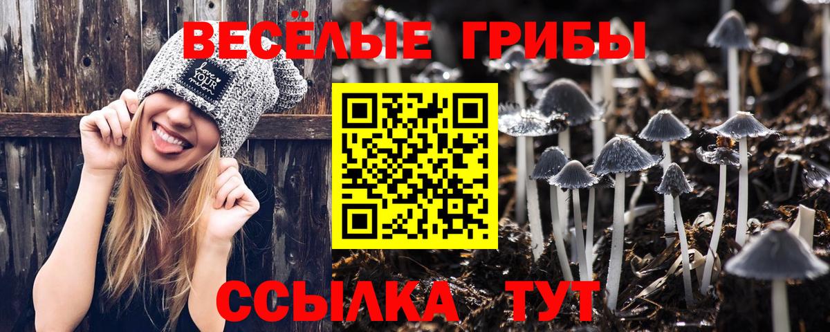 Псилоцибиновые грибы мухоморы  Вход с VPN  Галлюциногенные грибы GOLDEN TEACHER  Аша 